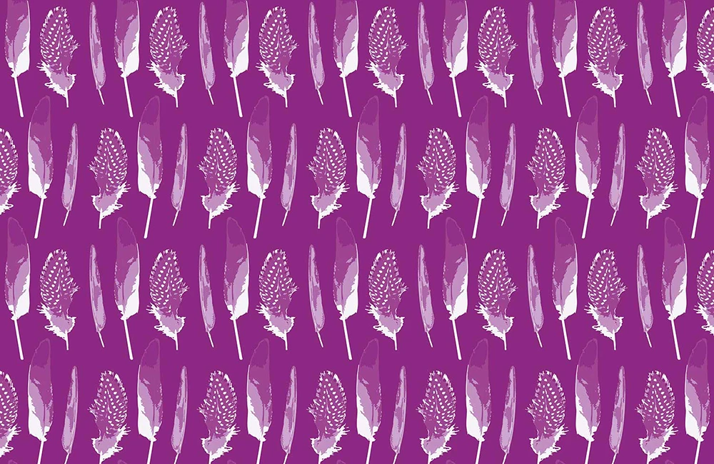Feathers D-29-29 x90