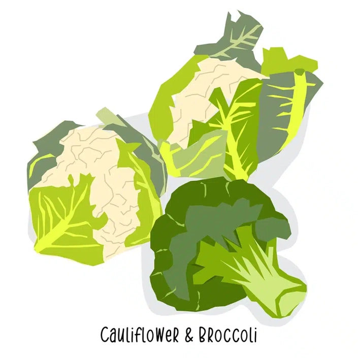 Grocery-Store-Cauliflower-Broccoli