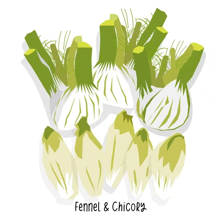 Grocery-Store-Fennel-Chicory