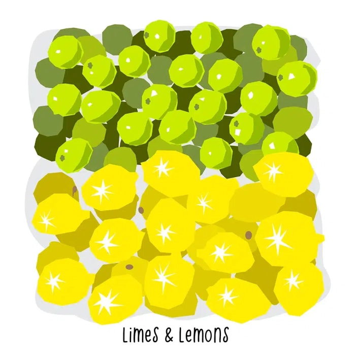 Grocery-Store-Limes-Lemons