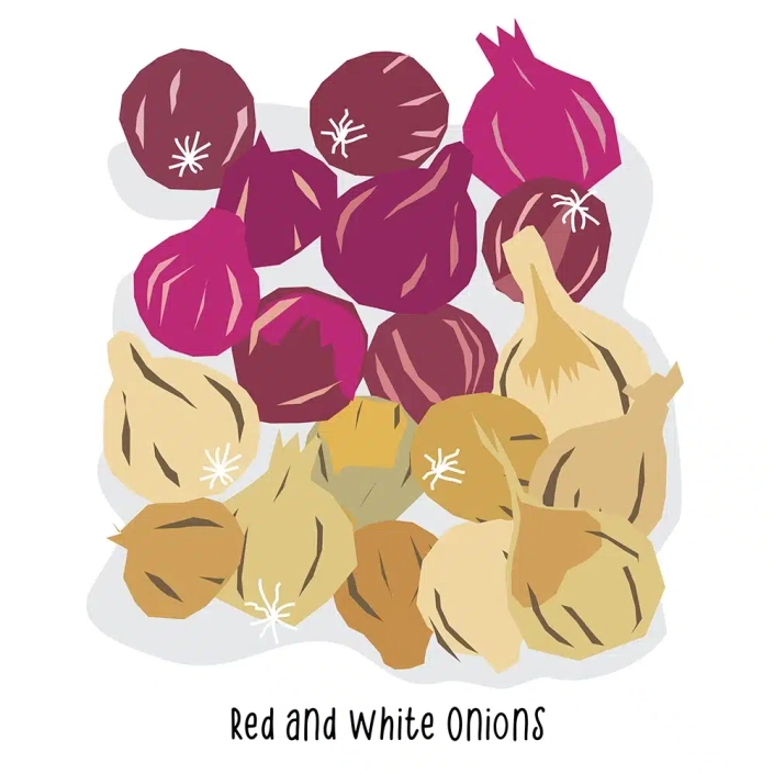 Grocery-Store-Red-White-Onions