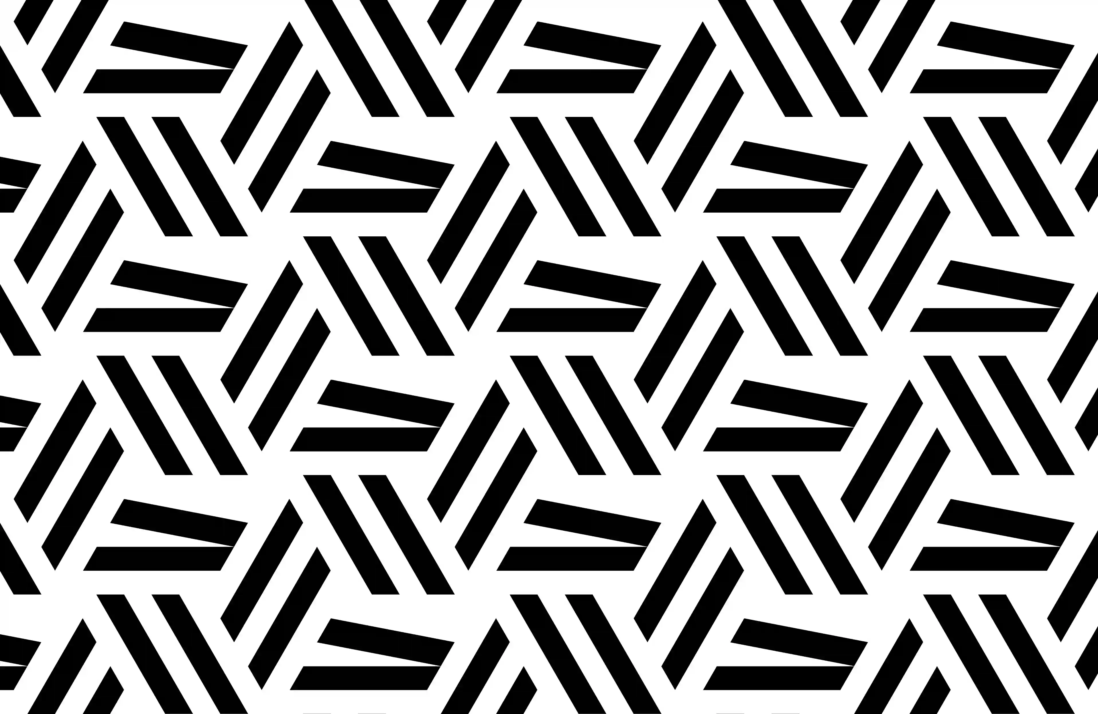 Lattice B2-white and black_swatch Lattice B2-white and black_swatch